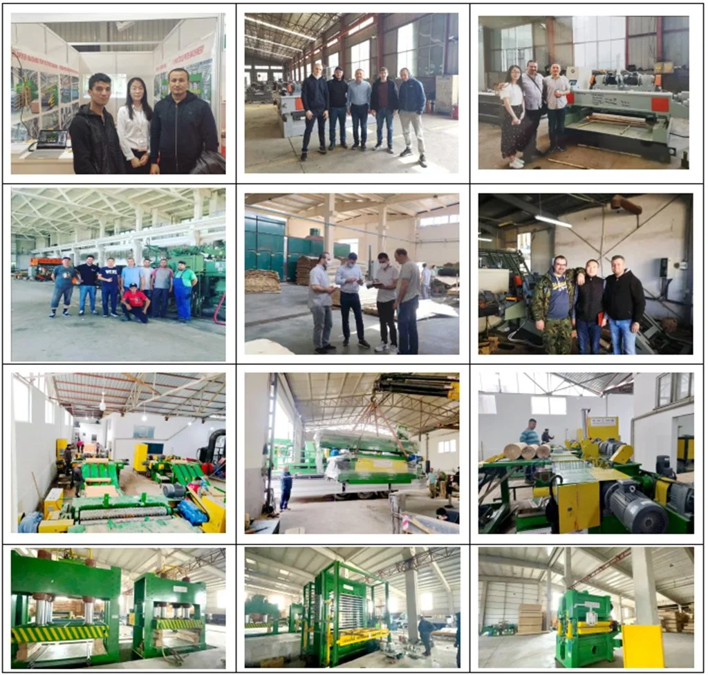 Drying Equipment Veneer Press Dryer Machine